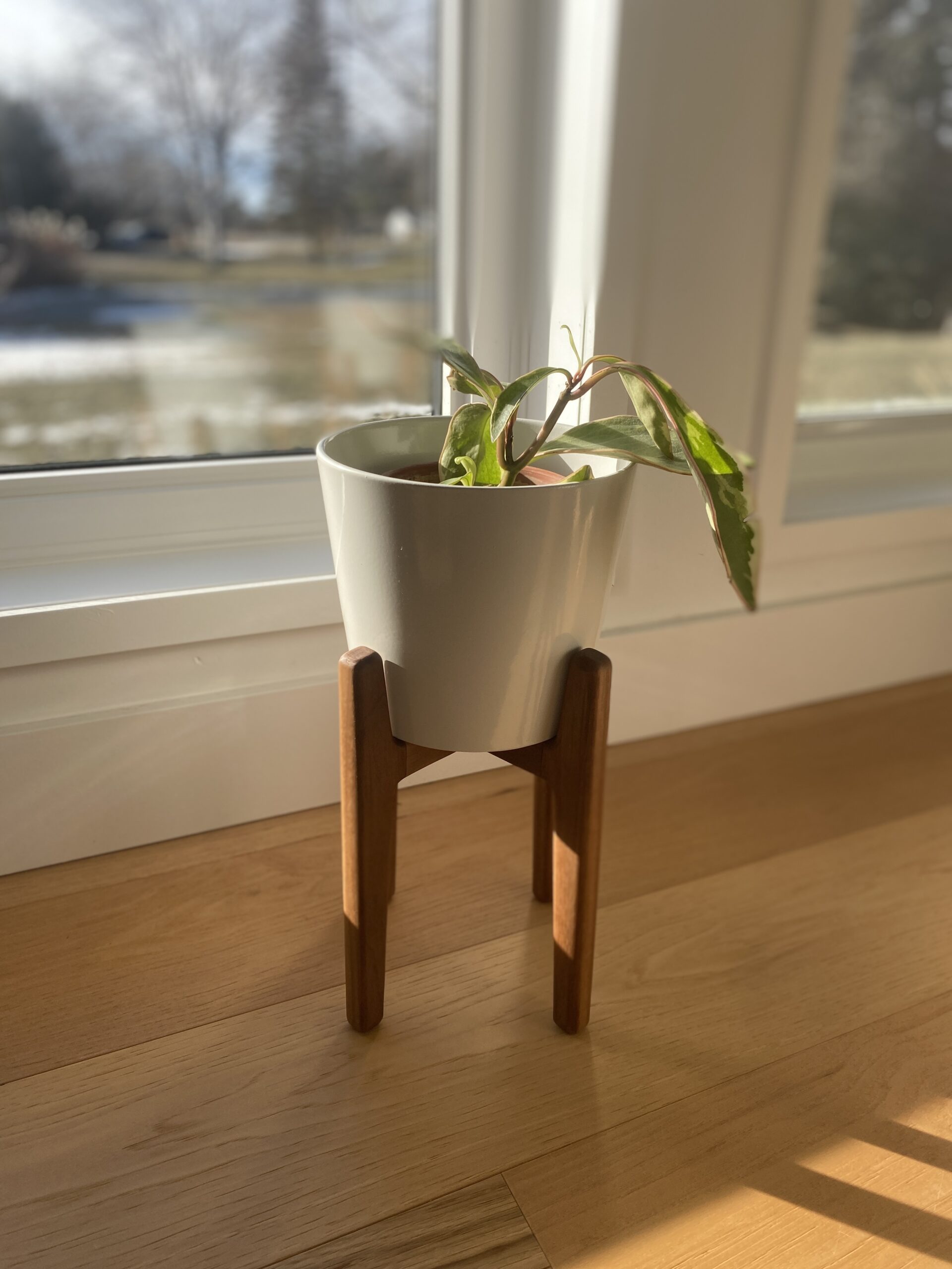 Planter & Pot - Image 5