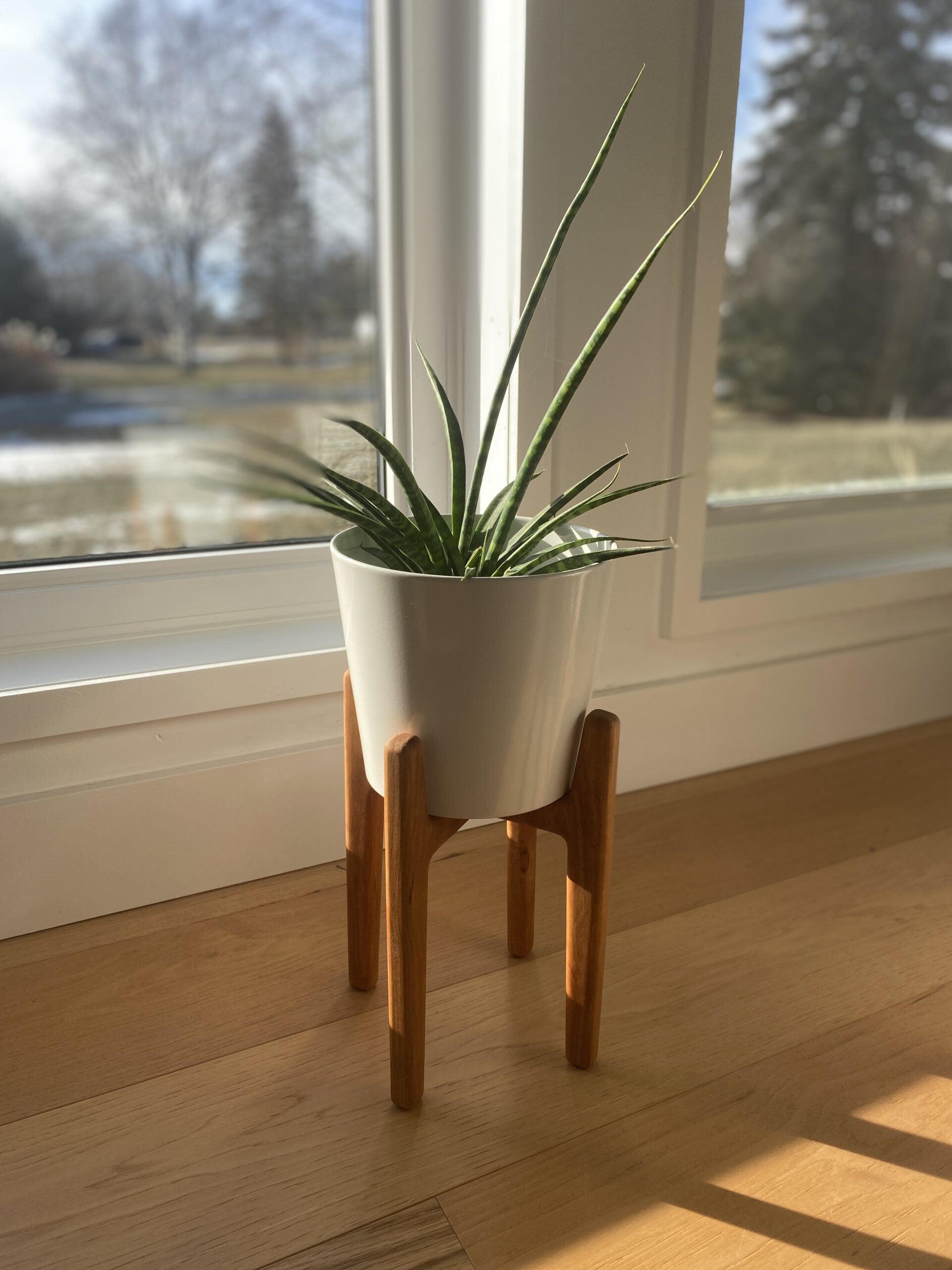 Planter & Pot - Image 4