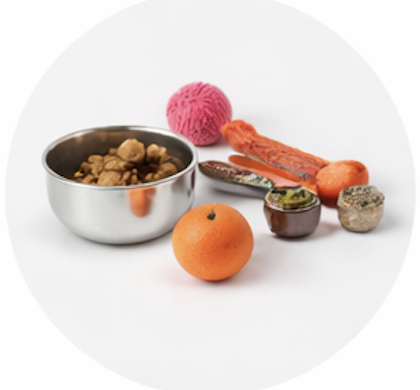 Screenshot 2026-02-20 at 7.29.20 PM