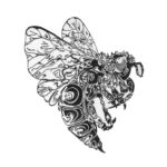 Darvel Lace Homestead & Apiary